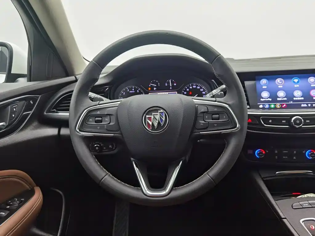 Buick Regal — миниатюра 11