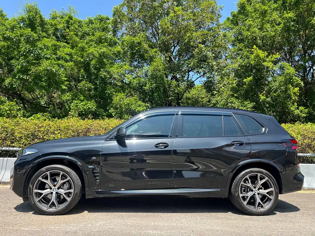 BMW X5 — миниатюра 3