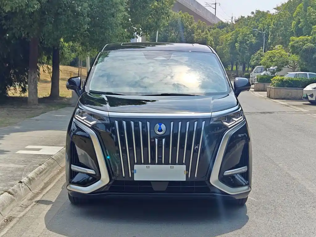 Denza Denza D9 — миниатюра 3