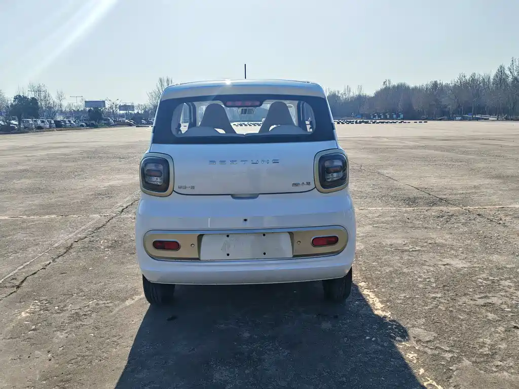 BESTUNE PENTIUM PONY