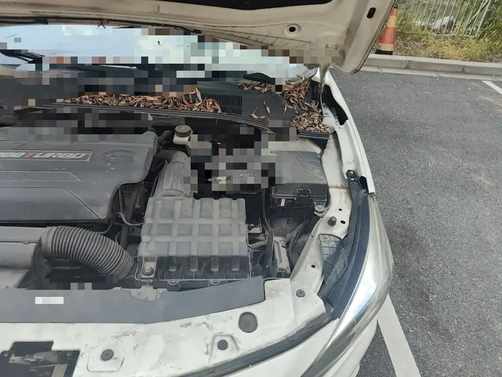 GAC Motor Trumpchi GA3S — миниатюра 22