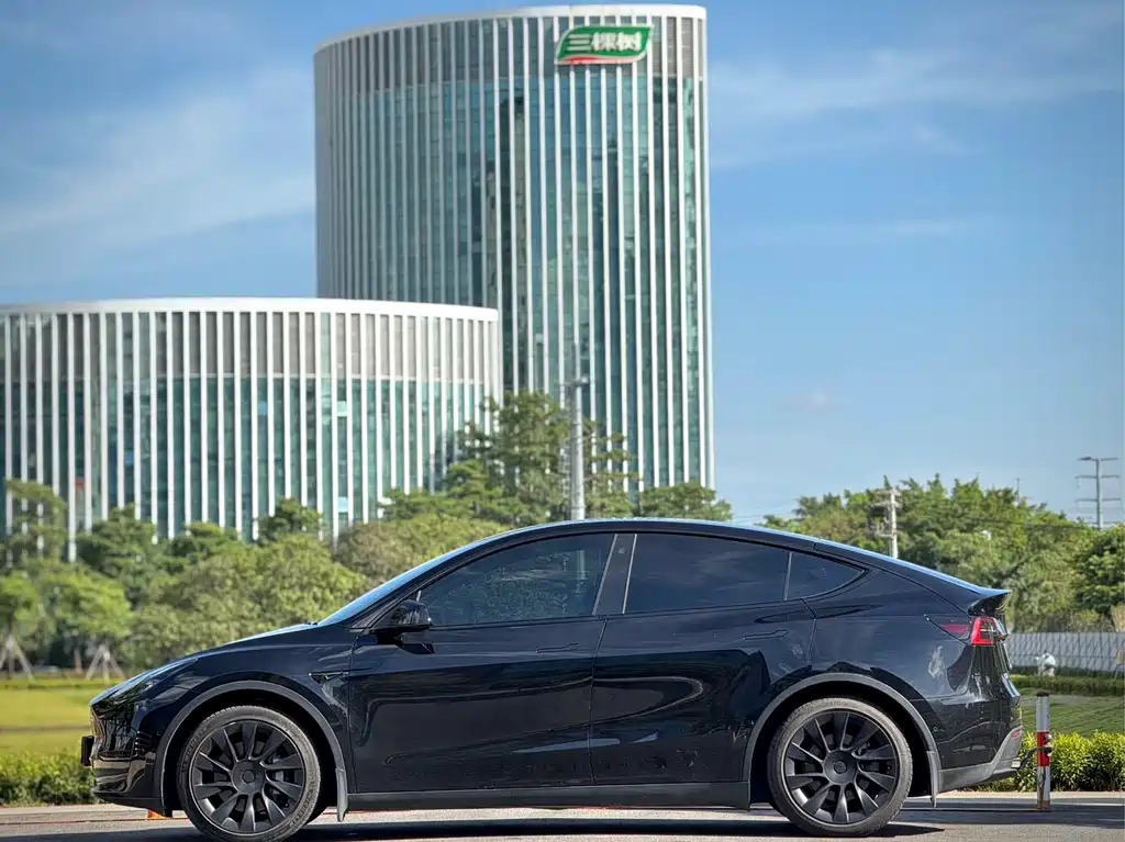 Tesla Model Y — миниатюра 12