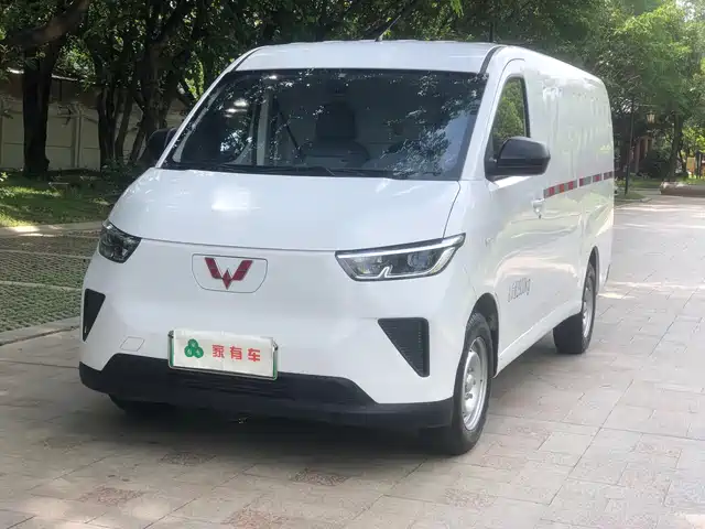 2024 Wuling Motors Yangguang