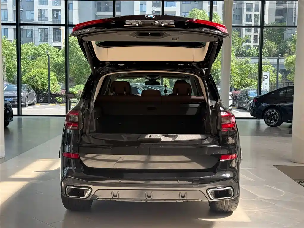 BMW X5 (Import) — миниатюра 2