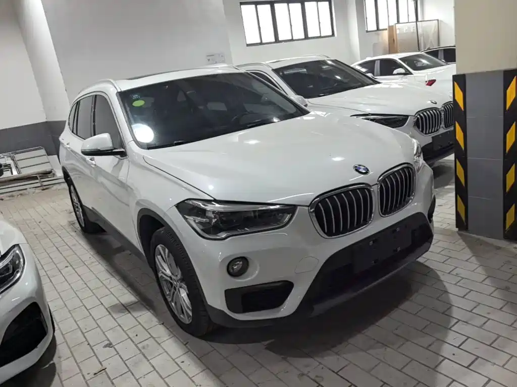 BMW X1 2019 sDrive20Li Lead