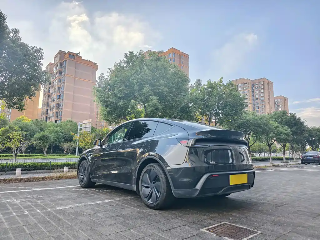 Tesla Model Y — миниатюра 16