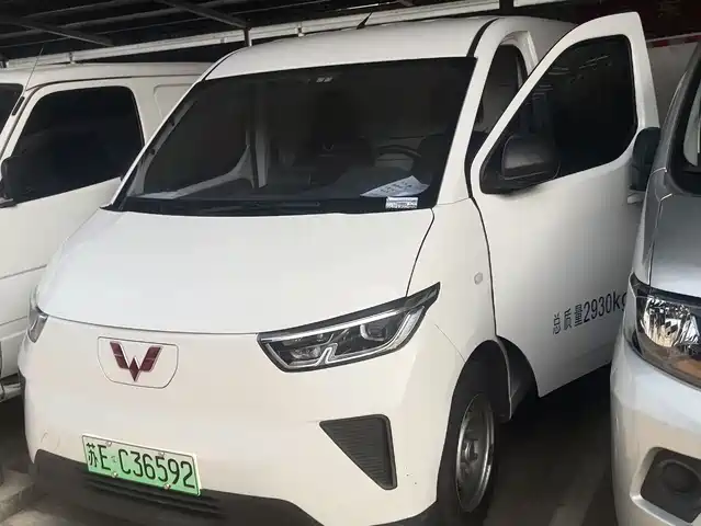 WULING WULING YANGGUANG 2024