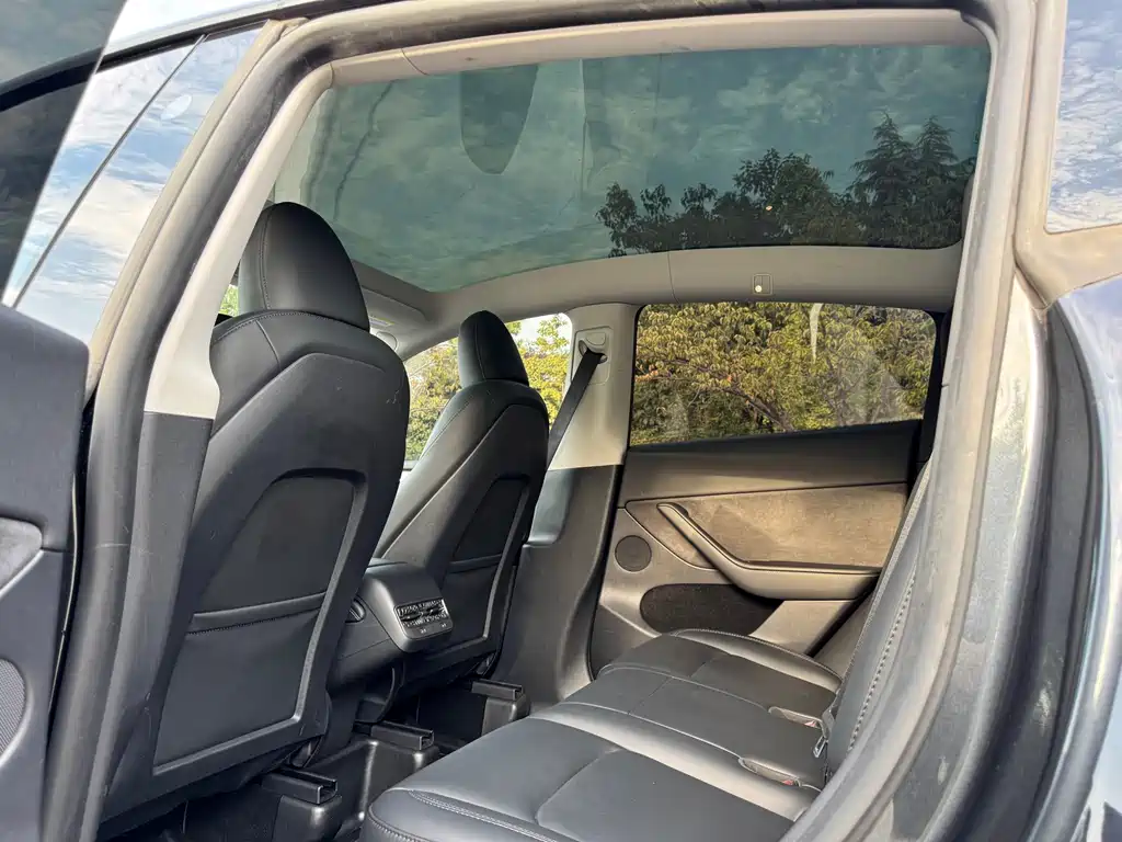 Tesla Model Y — миниатюра 12