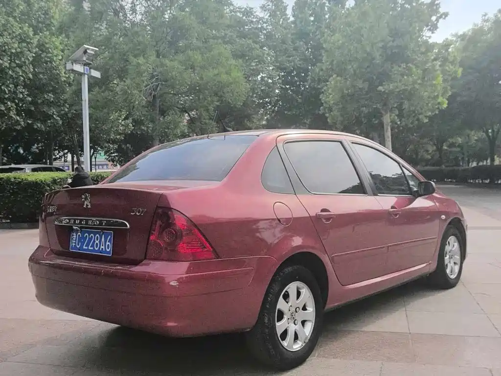 Peugeot 307 — миниатюра 4