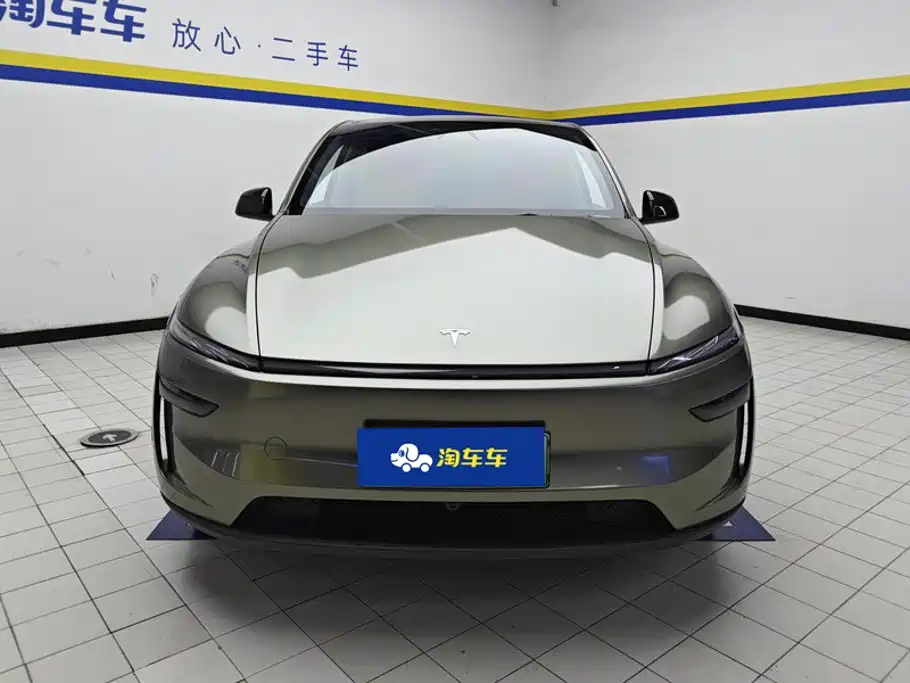 Tesla Model Y — миниатюра 2