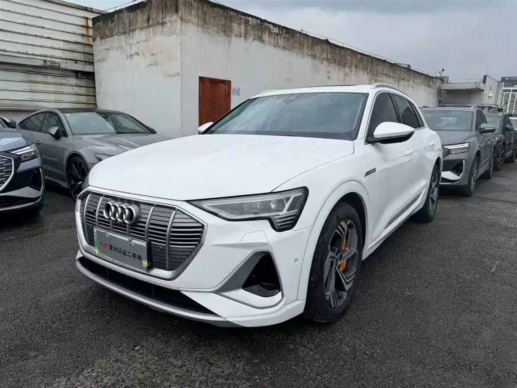 奥迪e-tron 2021款 50 quattro 臻选型 2023