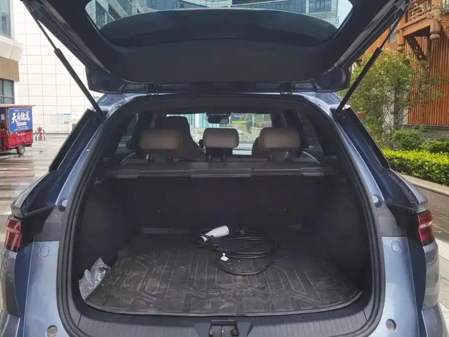 BYD Pro New Energy — миниатюра 4