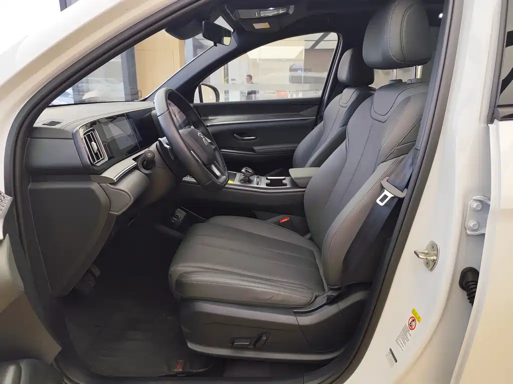 BYD Pro New Energy — миниатюра 5