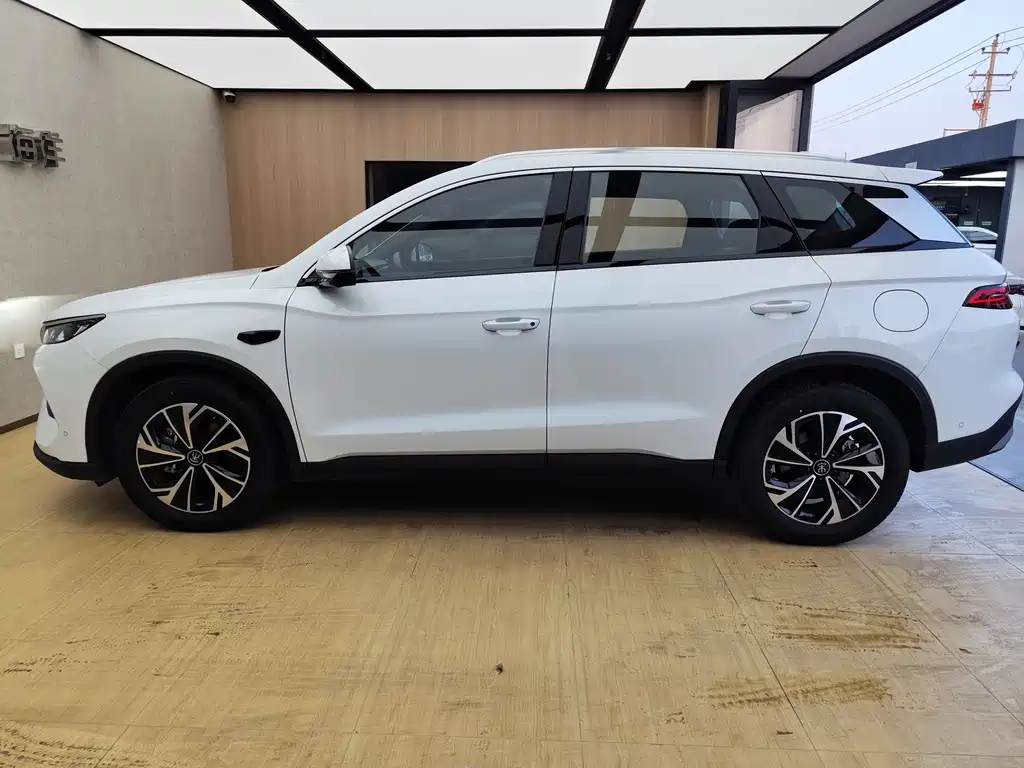 BYD Pro New Energy — миниатюра 7