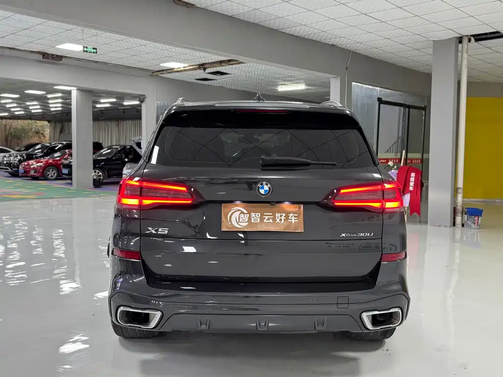 BMW X5 — миниатюра 8