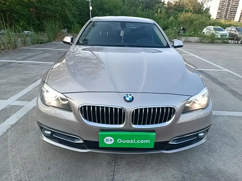BMW 5 Series — миниатюра 3