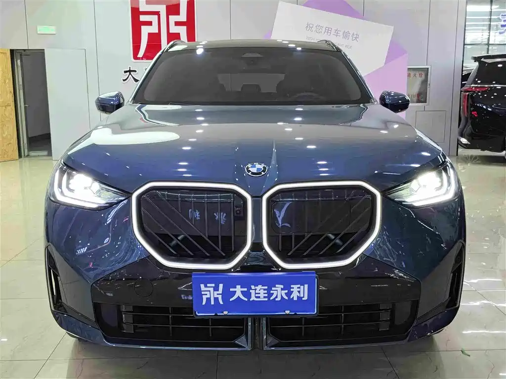 BMW X3 — миниатюра 2