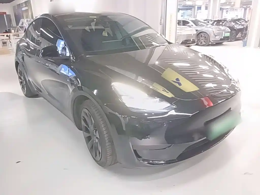 Tesla Model Y — миниатюра 4