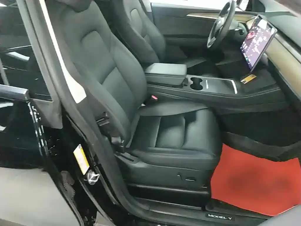 Tesla Model Y — миниатюра 25