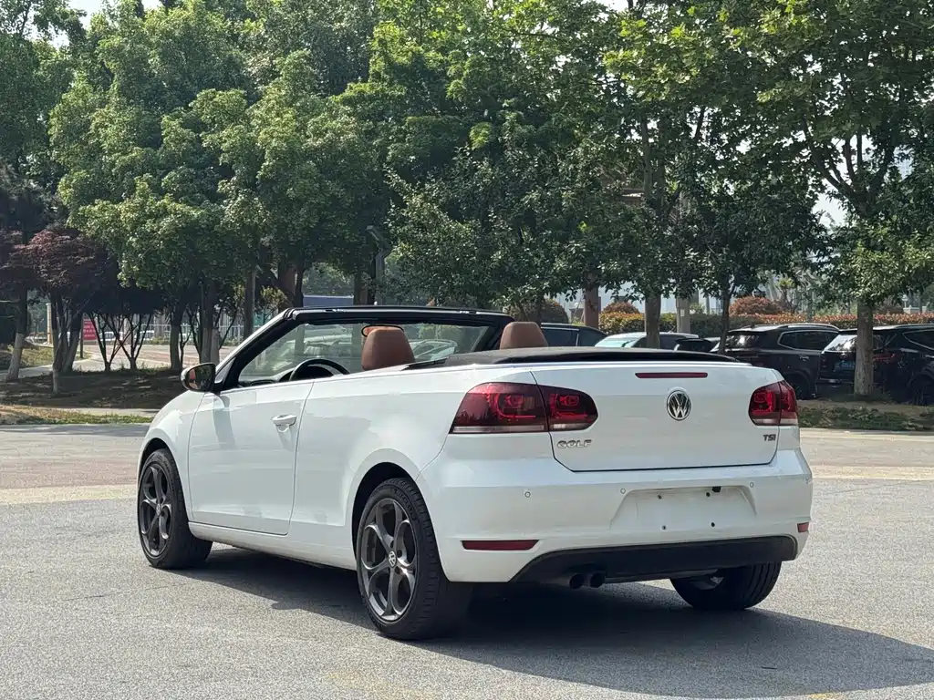 Volkswagen Golf (Import) — миниатюра 7