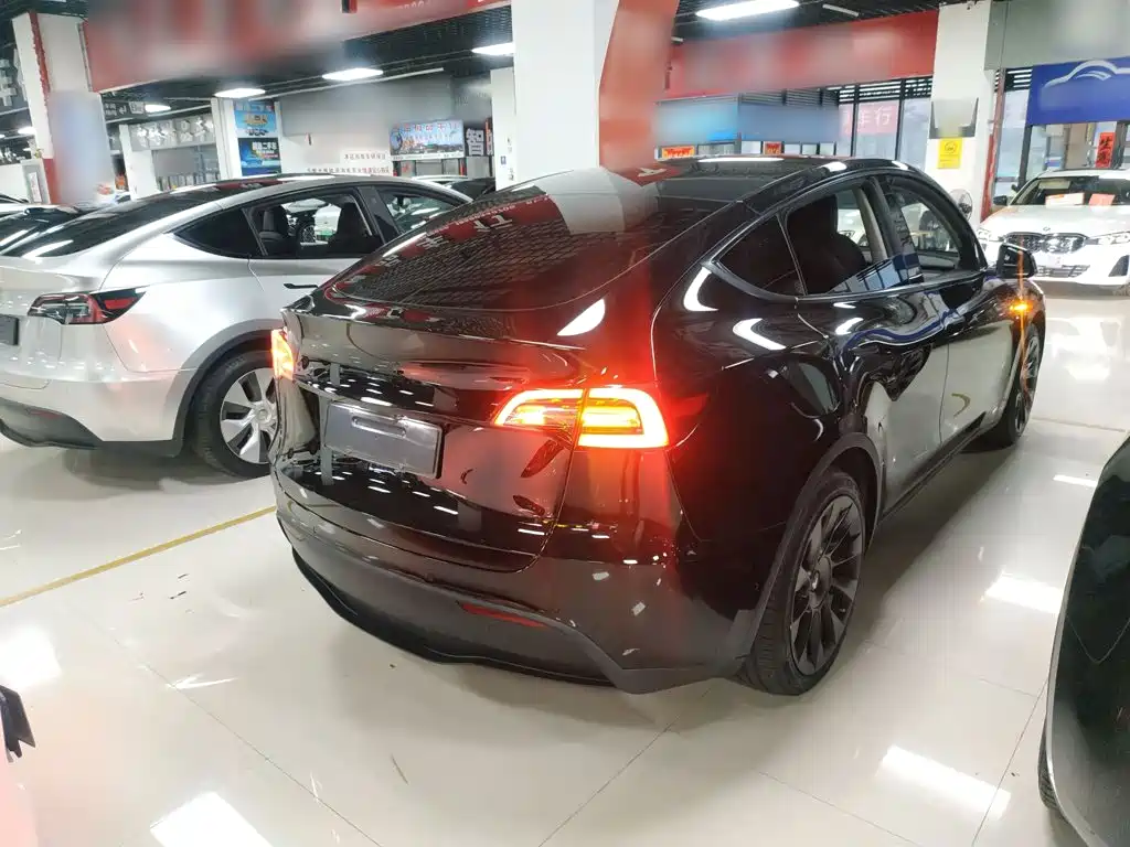 Tesla Model Y — миниатюра 7