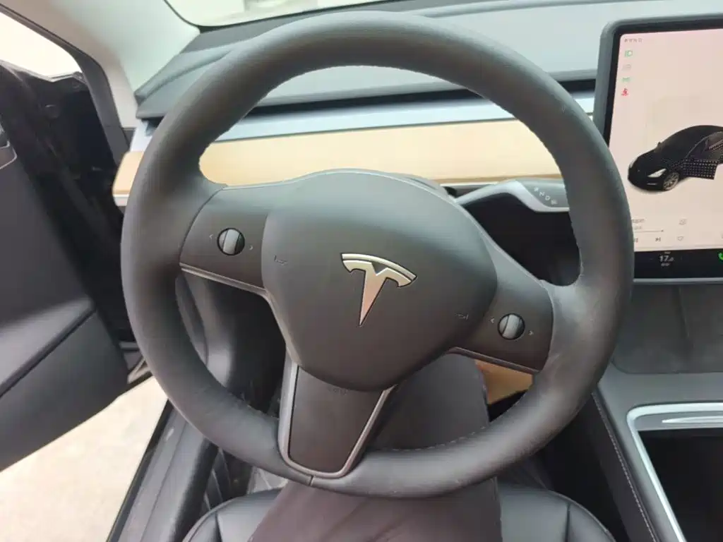 Tesla Model 3 — миниатюра 11