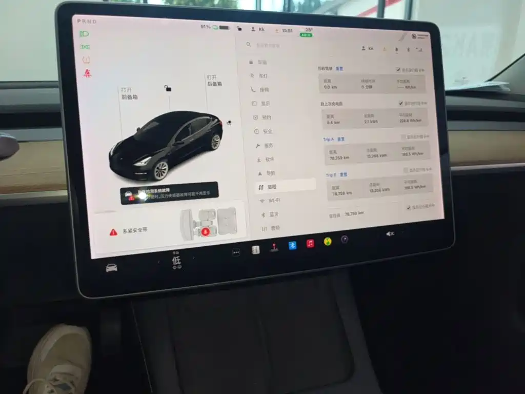 Tesla Model 3 — миниатюра 13