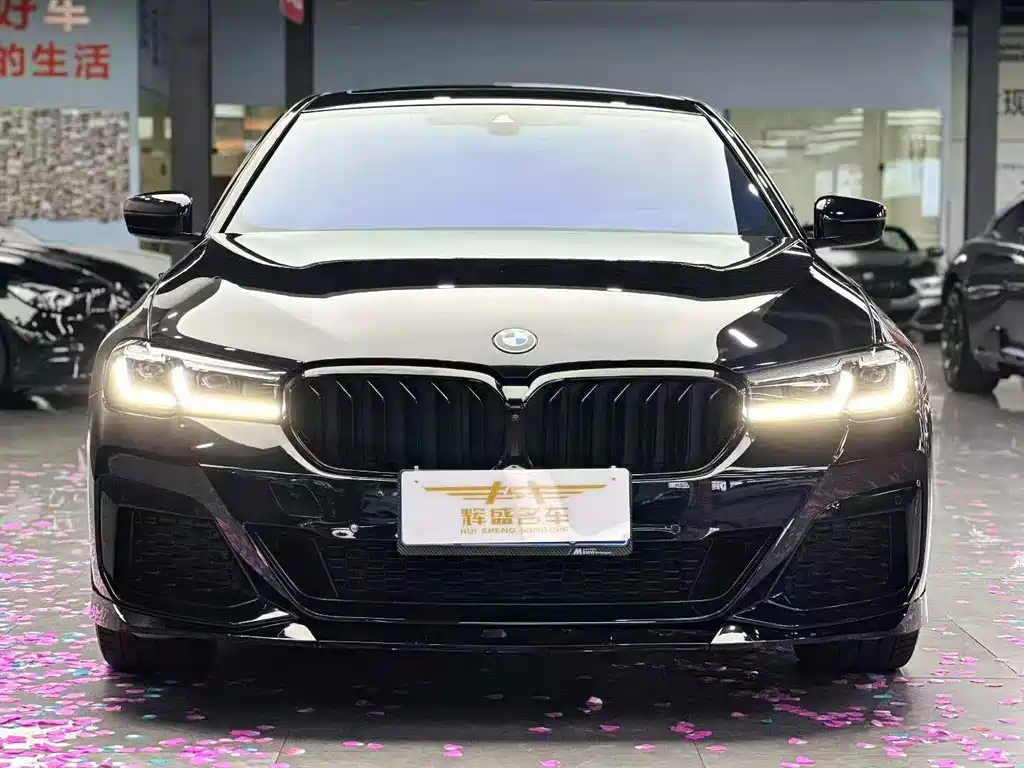 BMW 5 Series — миниатюра 2