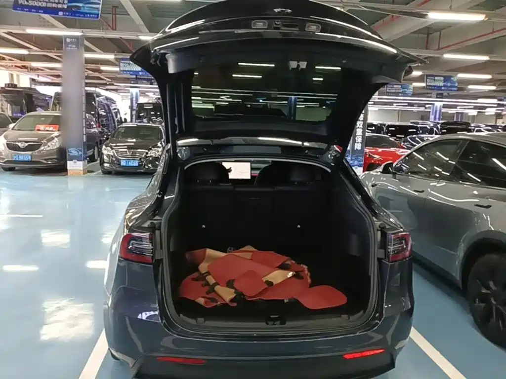 Tesla Model Y — миниатюра 19