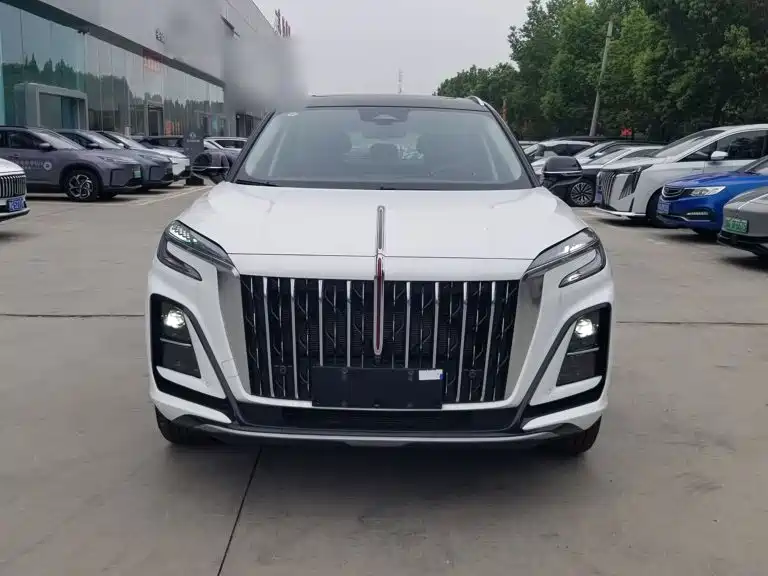 Hongqi Hongqi HS3 — миниатюра 3