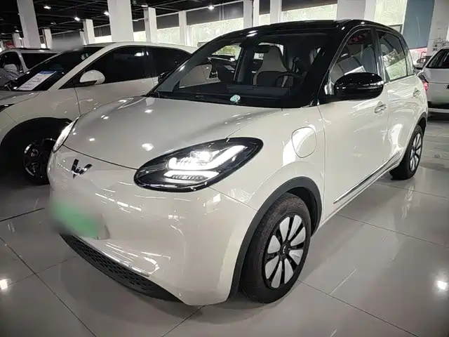 Wuling Bingo