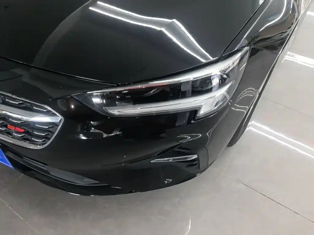 Buick Regal — миниатюра 24
