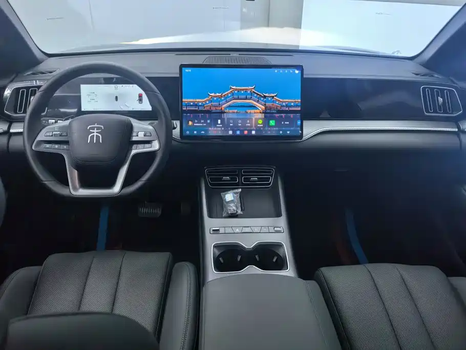 BYD Pro New Energy — миниатюра 12