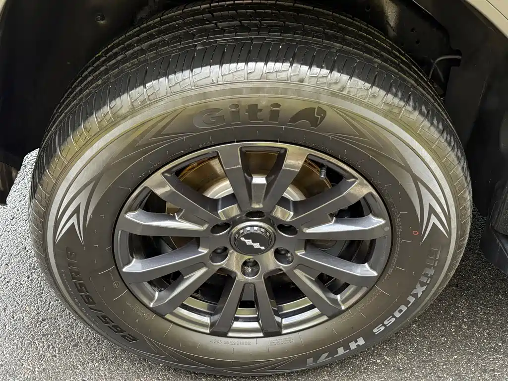 FANG CHENG BAO LEOPARD 5