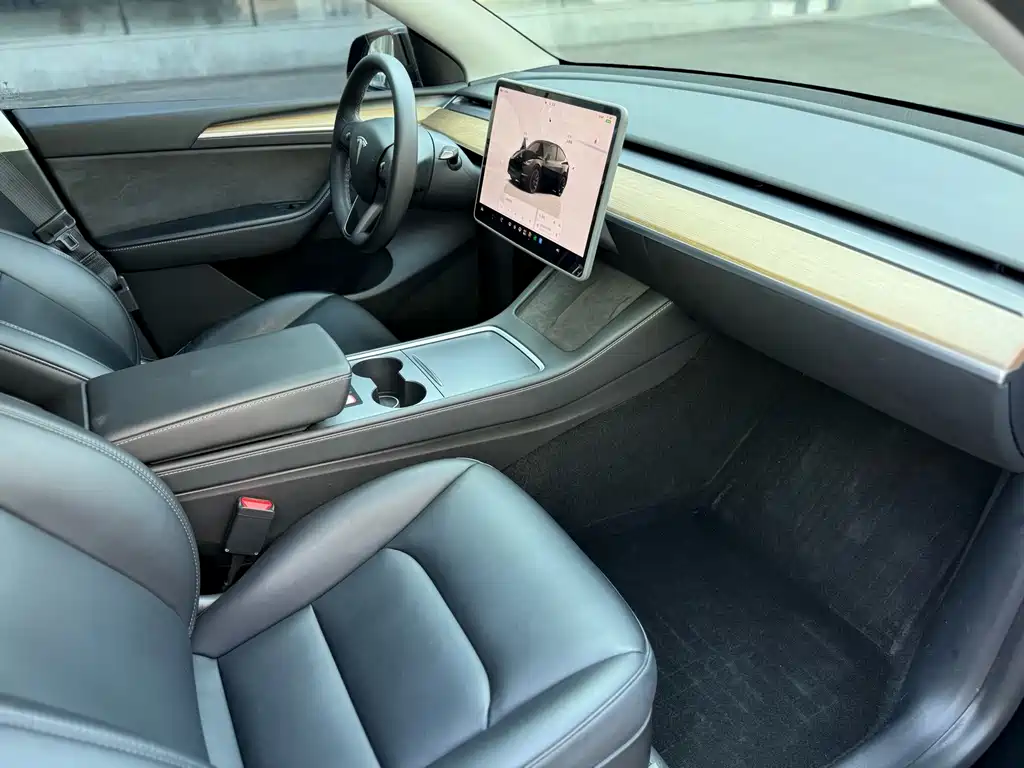 Tesla Model Y — миниатюра 8
