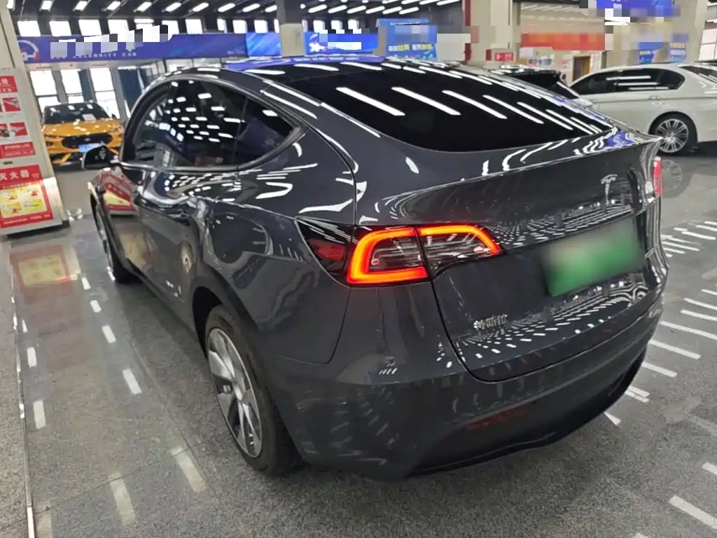 Tesla Model Y — миниатюра 5