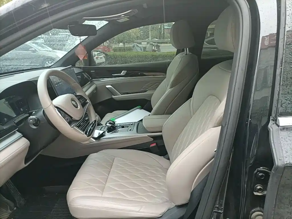 BYD Tang New Energy — миниатюра 15
