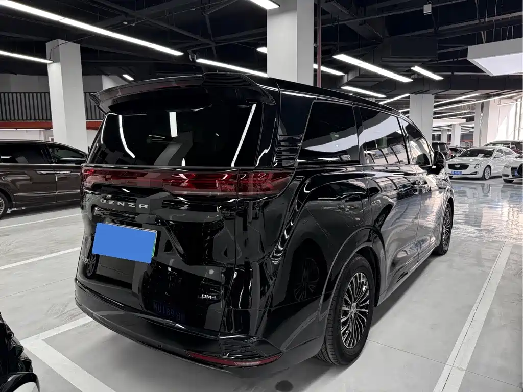 Denza Denza D9 — миниатюра 9