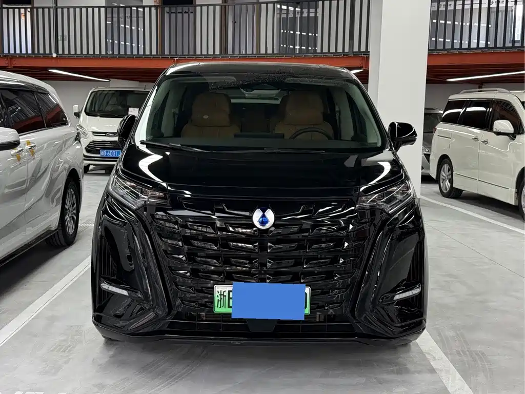 Denza Denza D9 — миниатюра 2