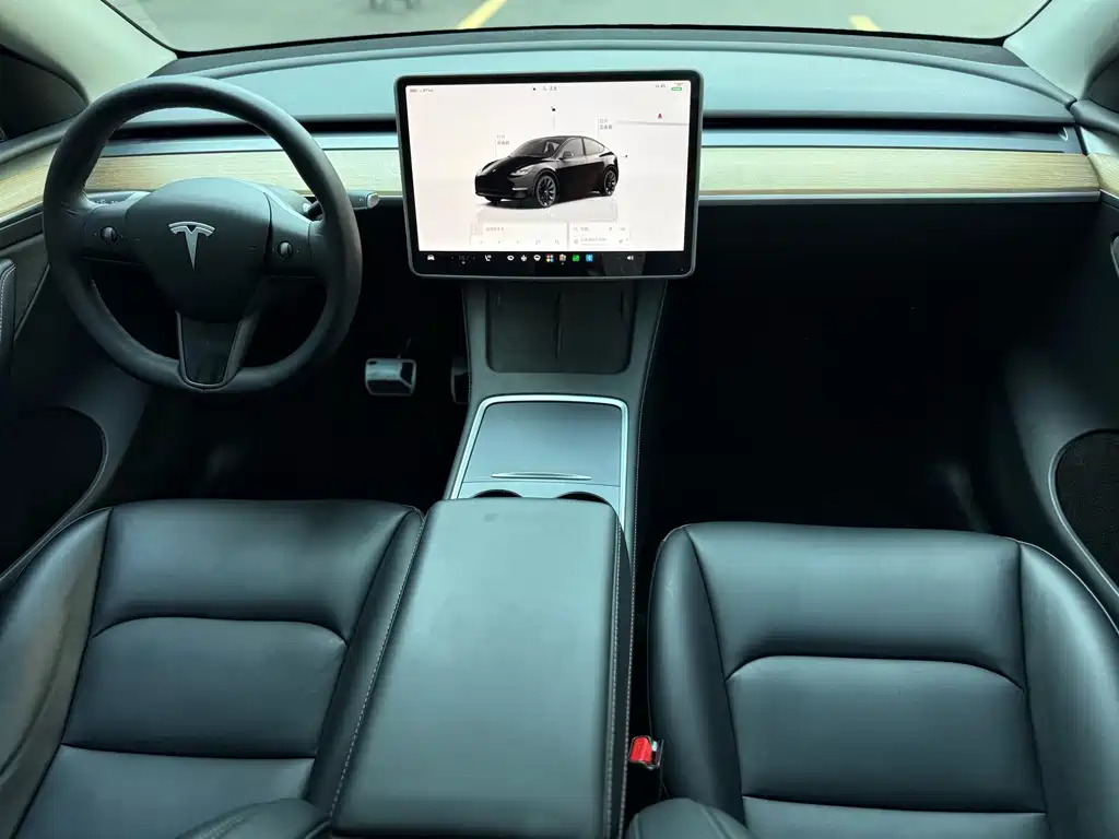 Tesla Model Y — миниатюра 9