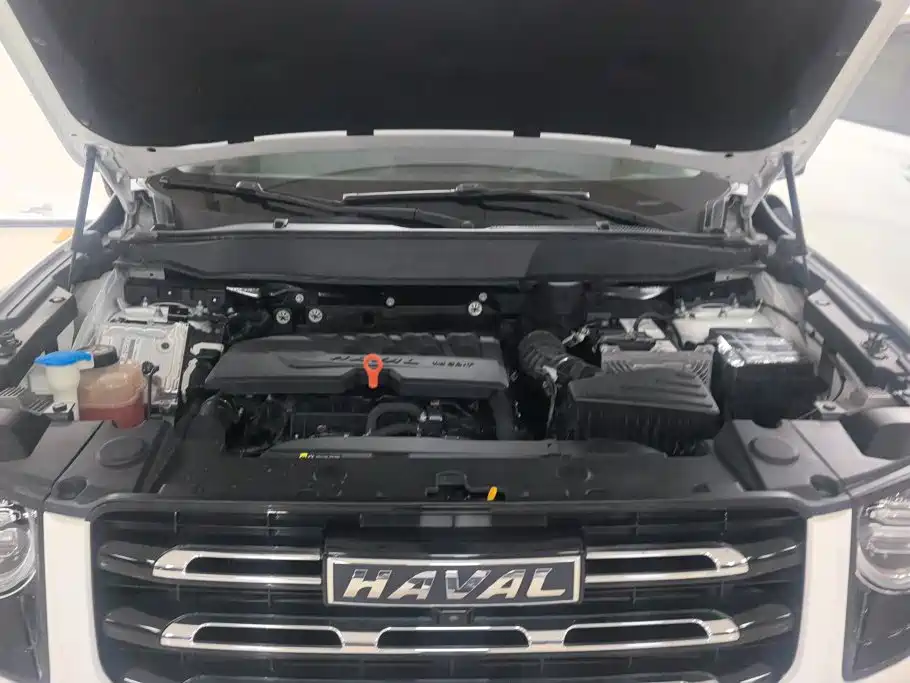 Haval Big Dog — миниатюра 10