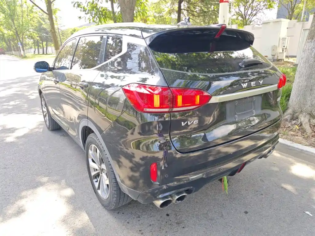 Wey Wey VV6 — миниатюра 5