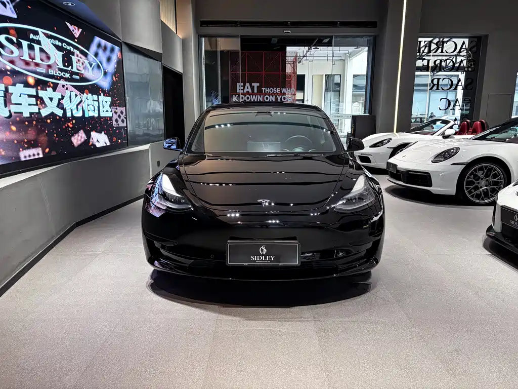 TESLA MODEL 3