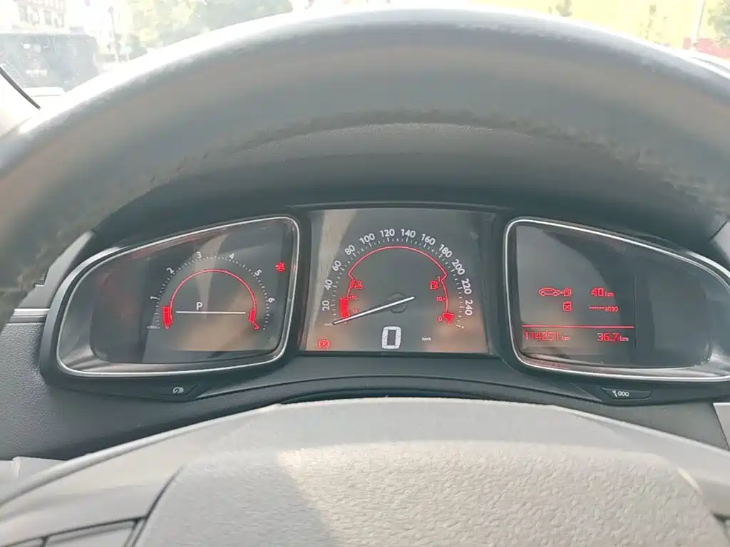 DS DS 5LS — миниатюра 12