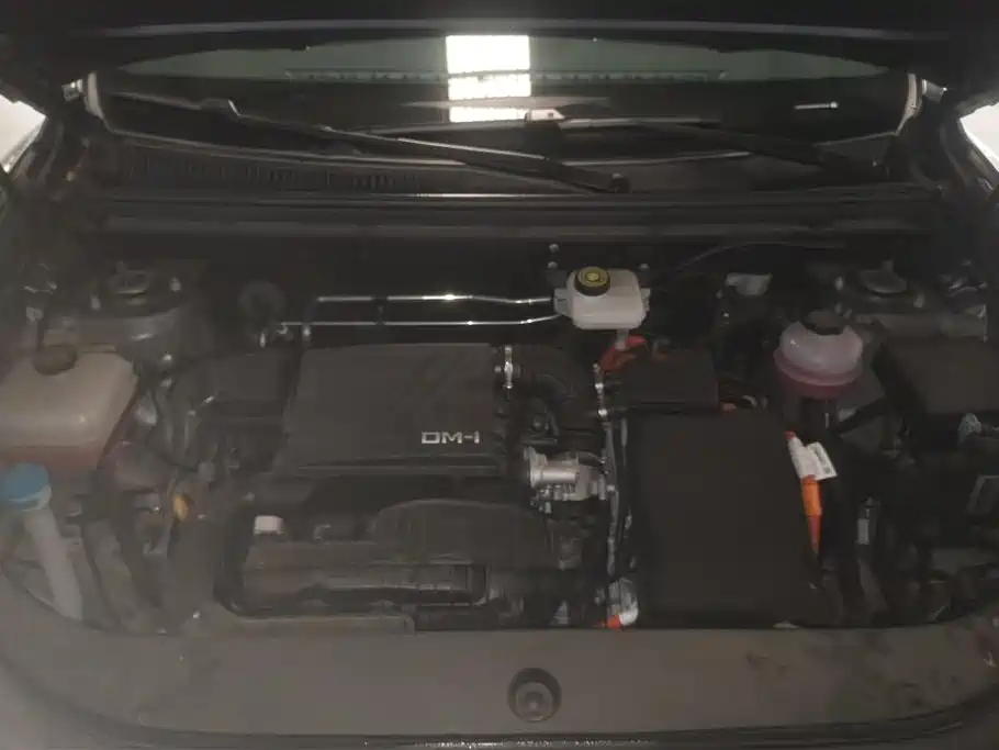 BYD SONGJIANG NEW ENERGY