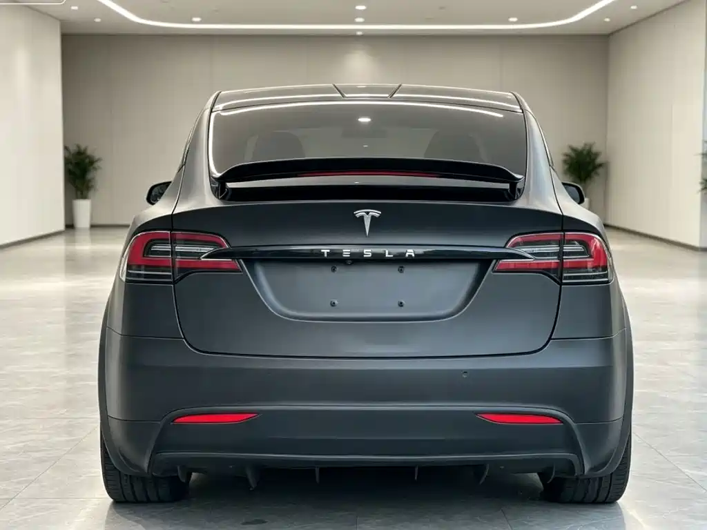 Tesla Model X — миниатюра 8