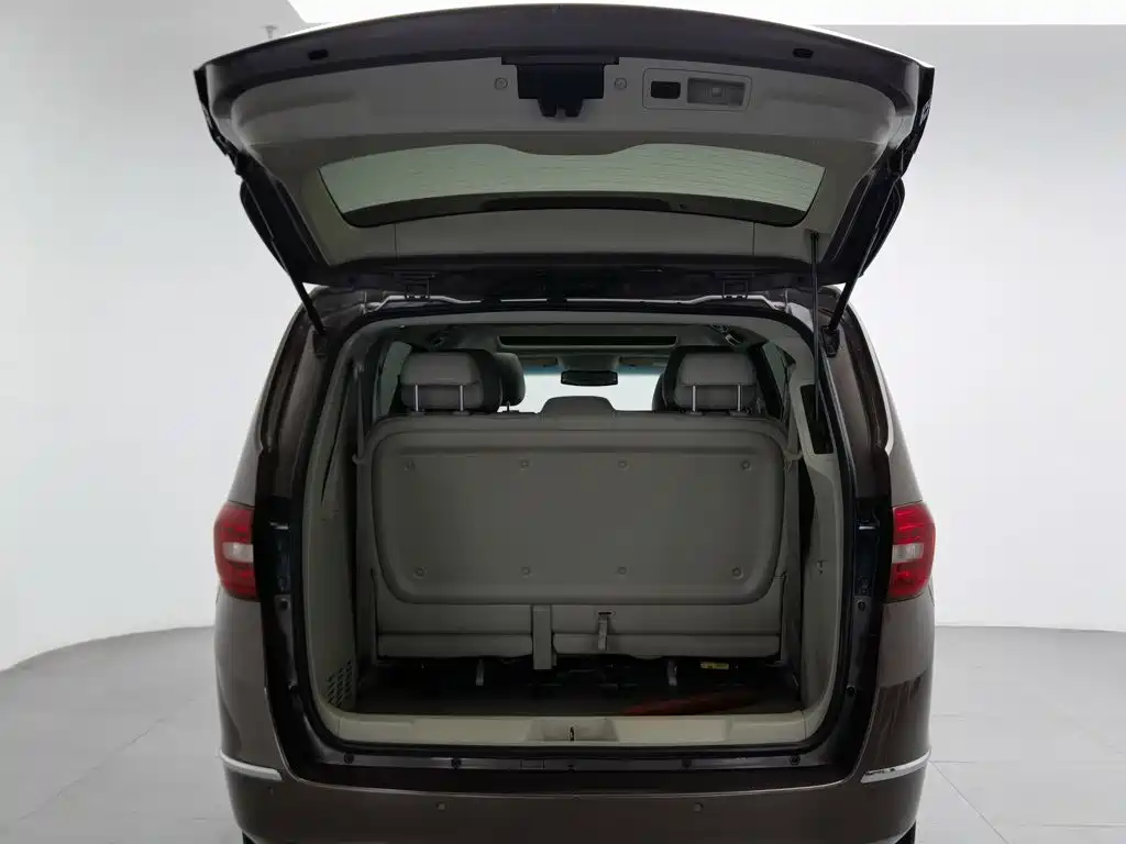 Buick GL8 — миниатюра 16