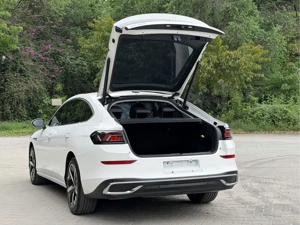 Volkswagen Lamando — миниатюра 7