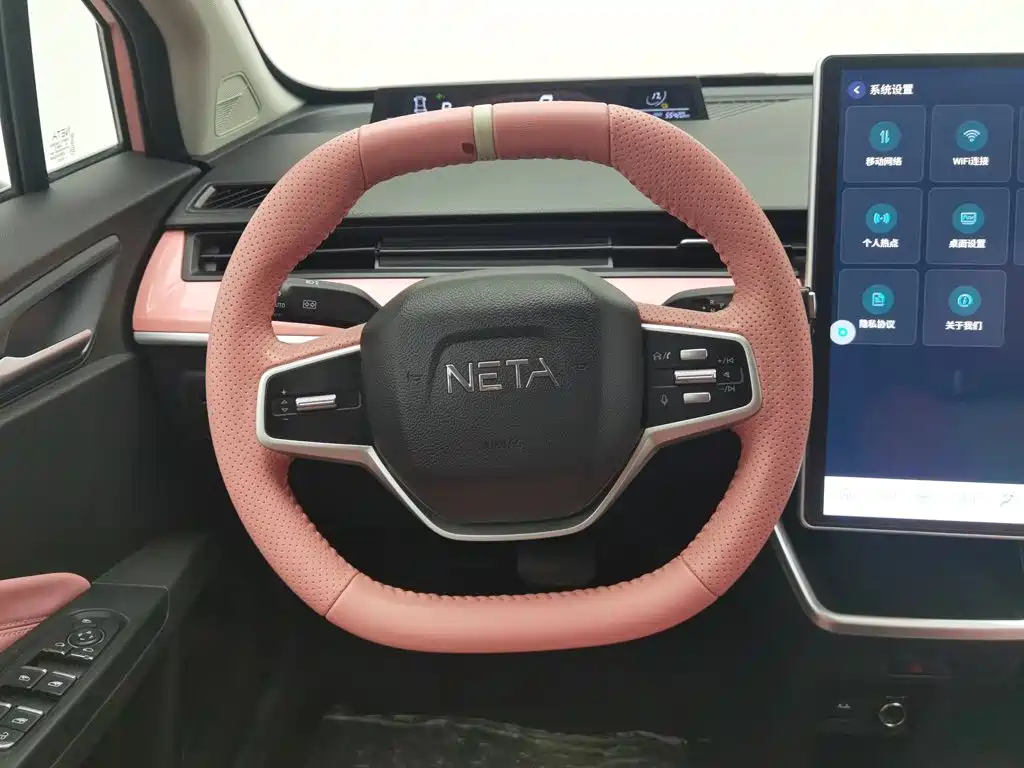 Neta Neta V — миниатюра 11
