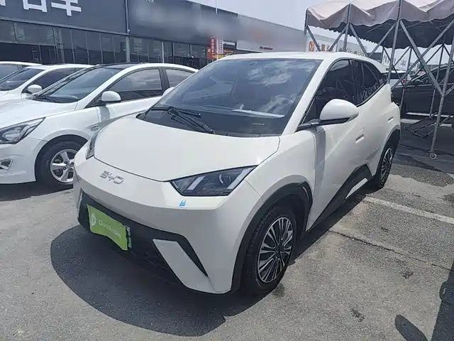 2025 BYD Seagull